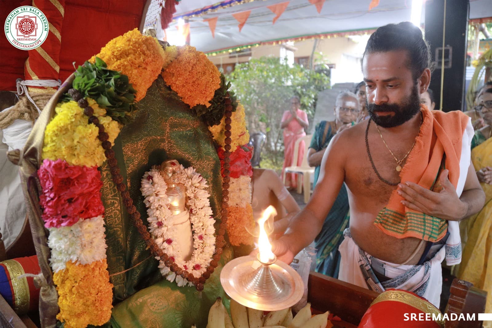 Divine Glimpses of Sadguru Sri Sadasiva Brahmendral Thiruveethi Ula - Image 7