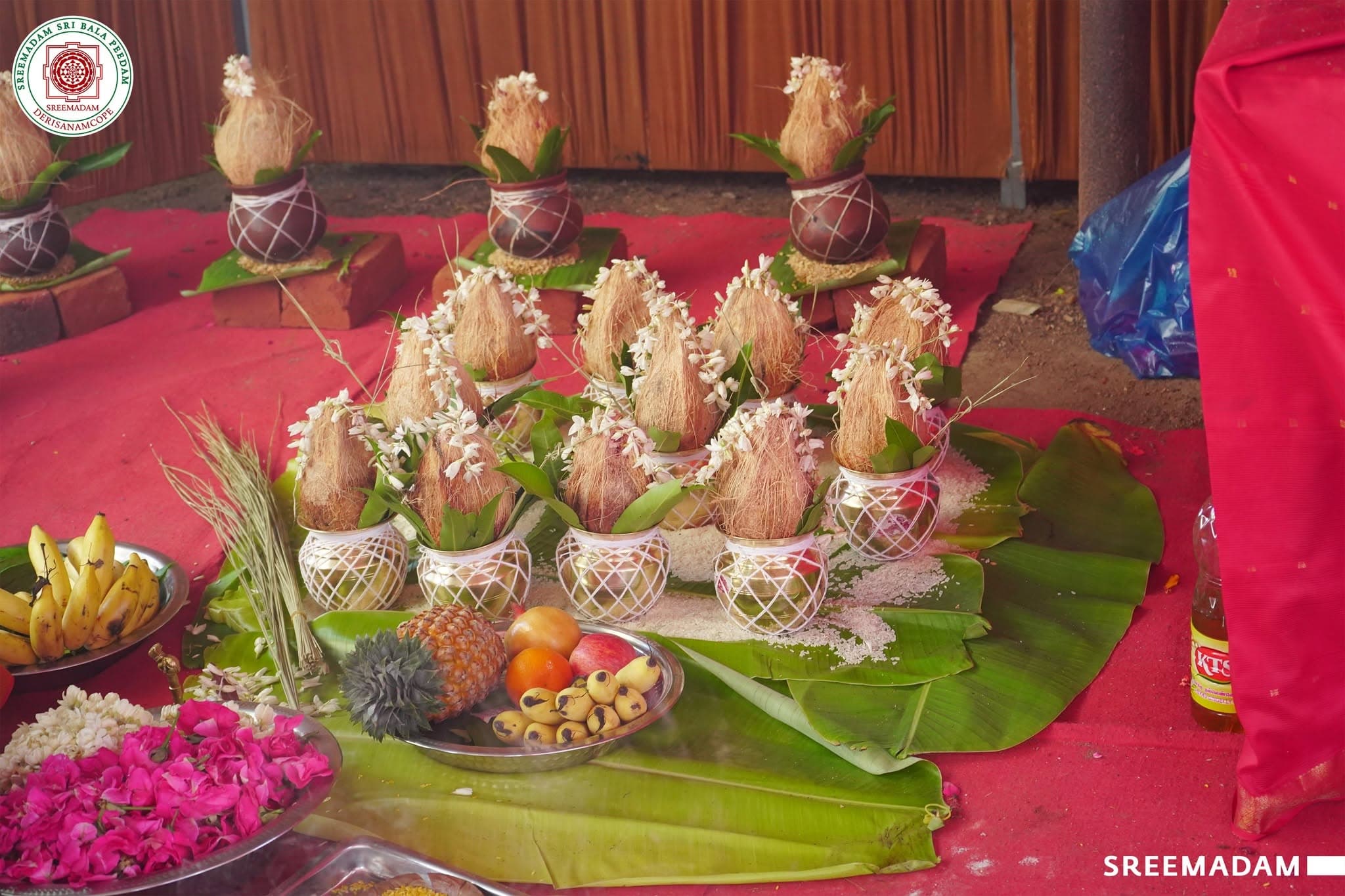 Ekadasa Rudra Homam – Sadguru Sri Sadasiva Brahmendral Aradhana Mahotsavam 2026 - Image 3