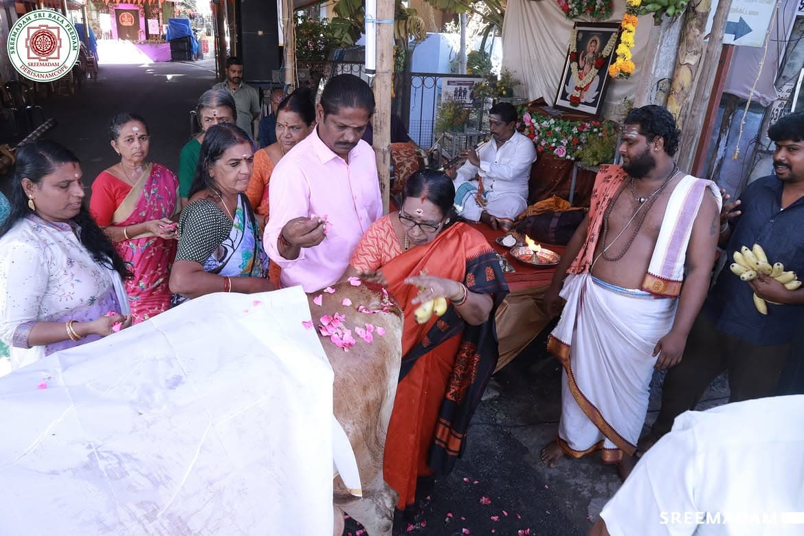 Gho Poojai at Sreemadam Sri Balapeedam - Image 5