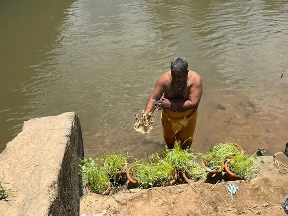 Saraswathi Pooja & Mulaipari Celebrations - Image 3