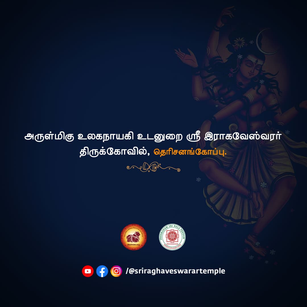 Thiruvempavai Veedhi Ula Finale 2026 | Sri Raghaveswarar Temple | Sreemadam Sri Balapeedam - Image 3