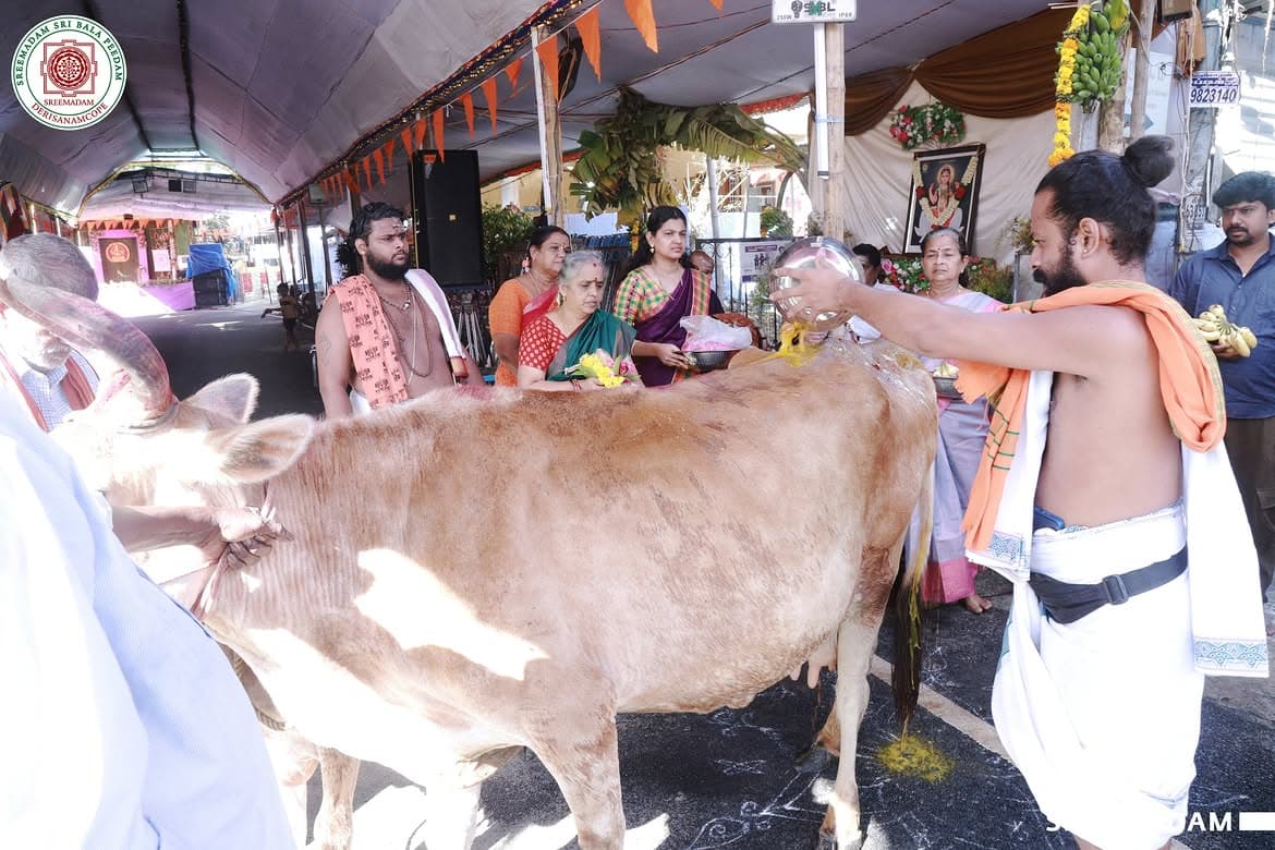 Gho Poojai at Sreemadam Sri Balapeedam - Image 2