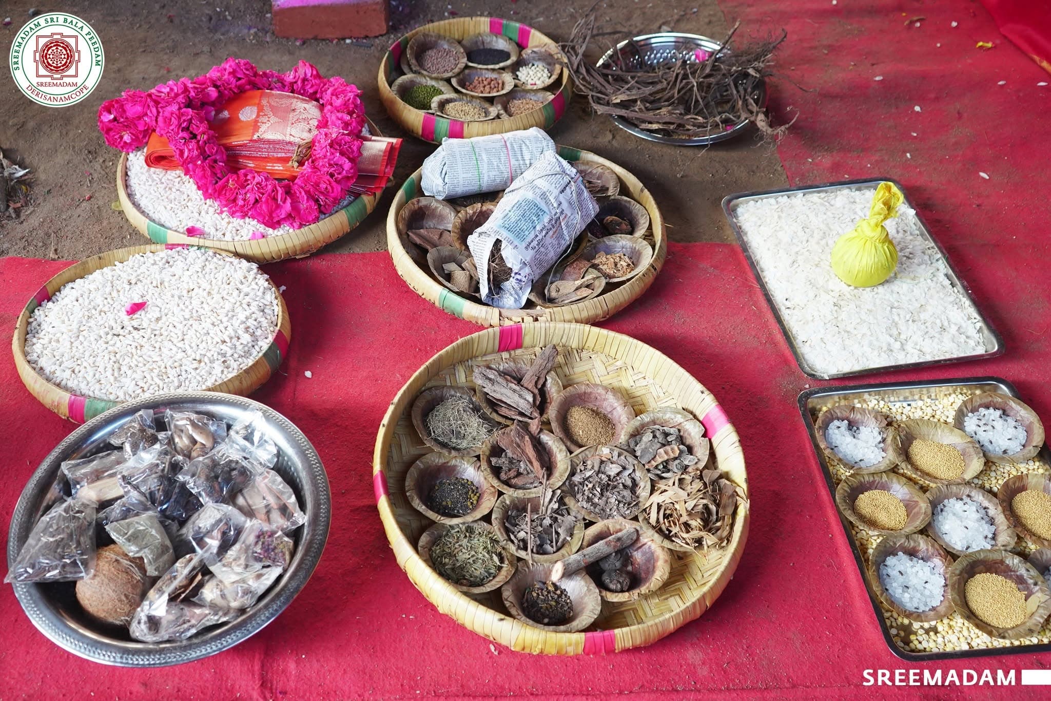 Maha Yaga Sala Pooja – Sadguru Sri Sadasiva Brahmendral Aradhana Mahotsavam 2026 - Image 3