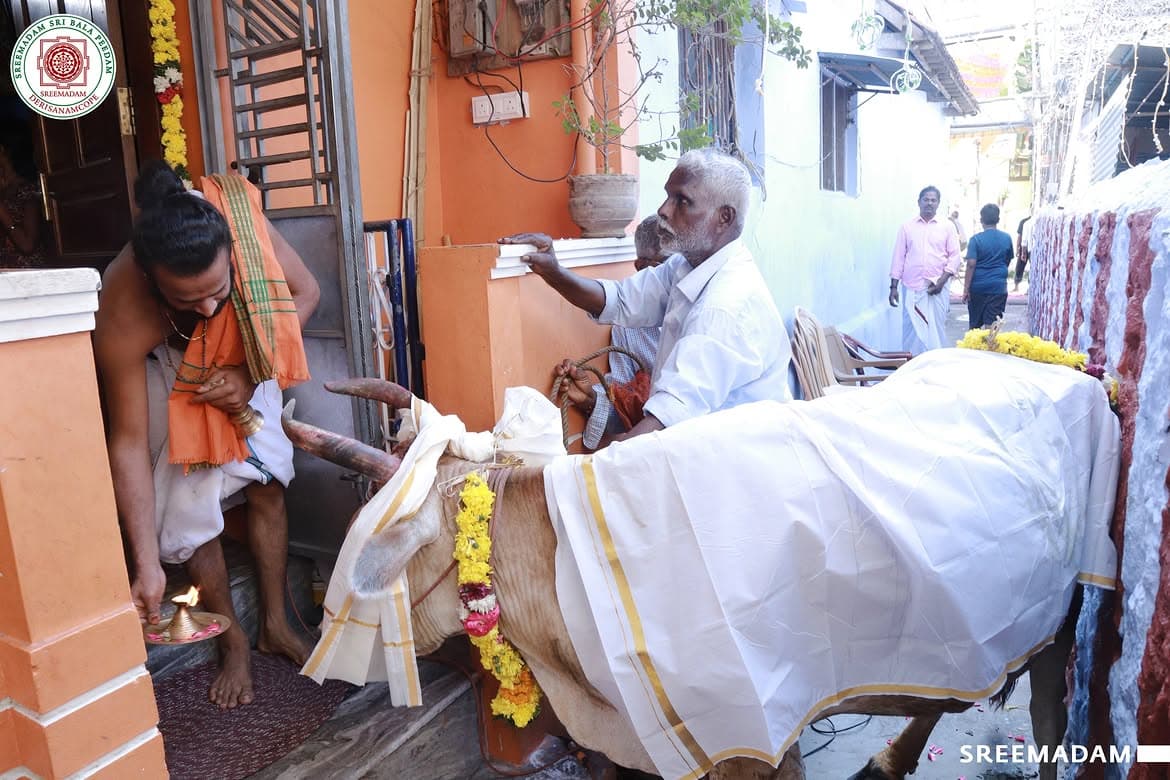 Gho Poojai at Sreemadam Sri Balapeedam - Image 7