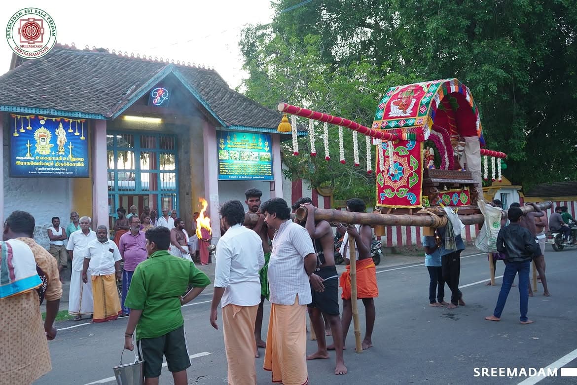 Divine Glimpses of Sri Balatripurasundari Ambal Thiruveethi Ula - Image 5