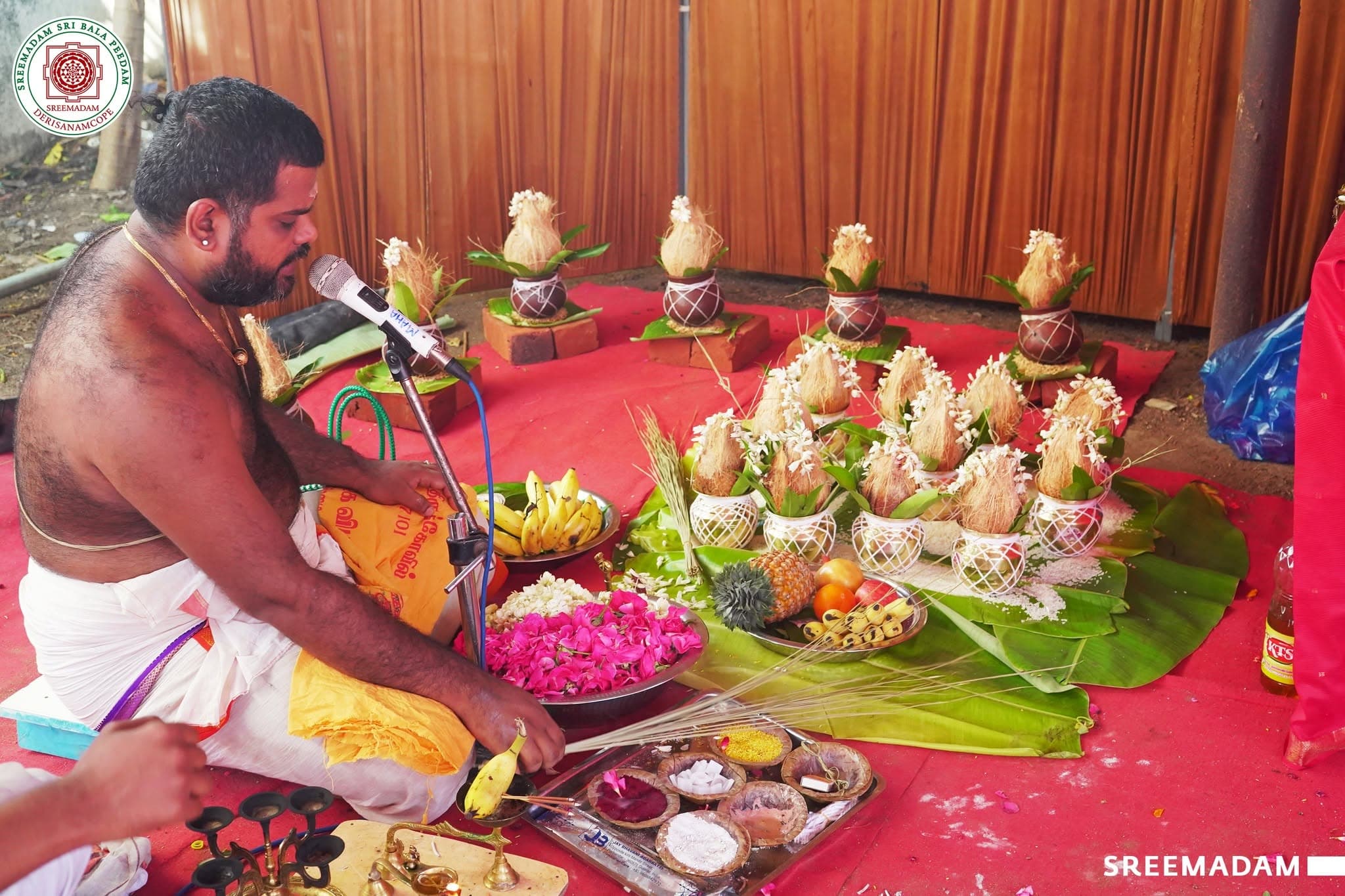 Ekadasa Rudra Homam – Sadguru Sri Sadasiva Brahmendral Aradhana Mahotsavam 2026 - Image 4